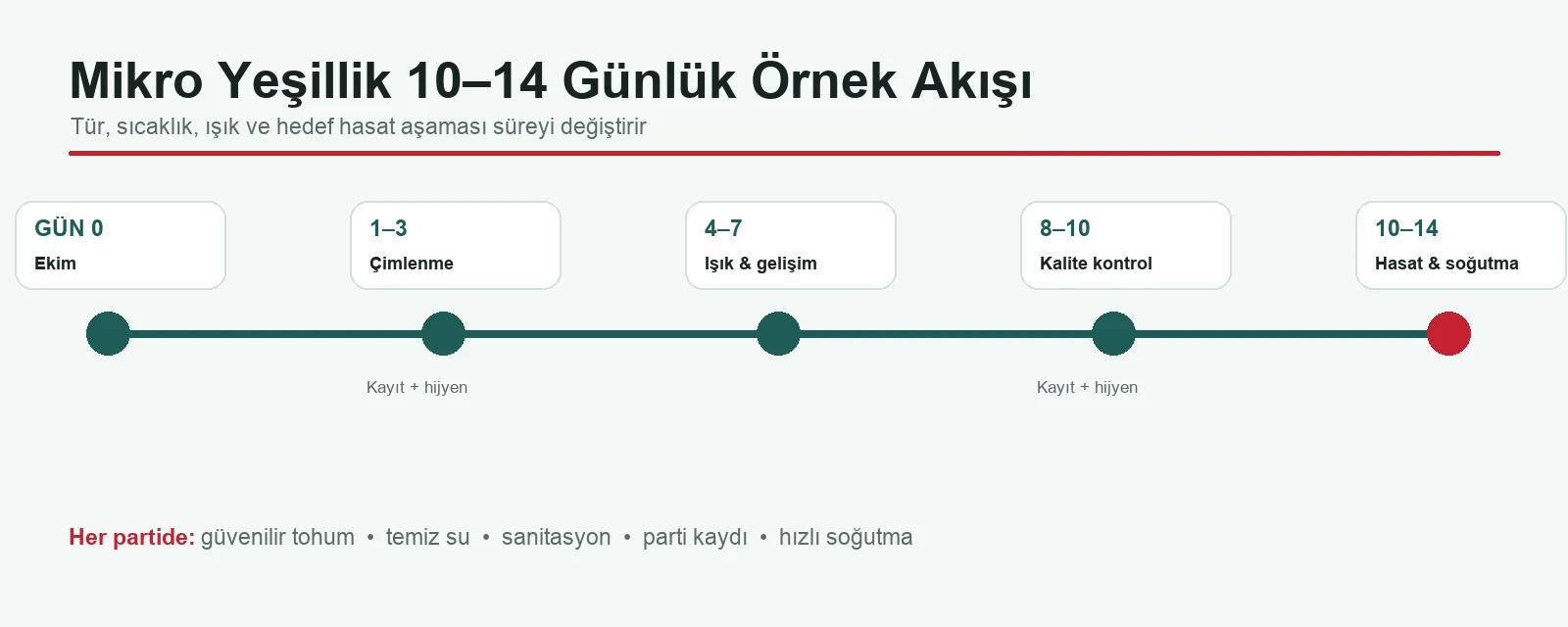 Mikro Yeşillik İçin 14 Günlük Örnek Üretim Zaman Çizelgesi Mikro yeşillik için gün 0 ile 14 arasındaki örnek üretim planı